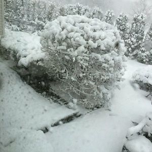 Meet your Posher, Avalon